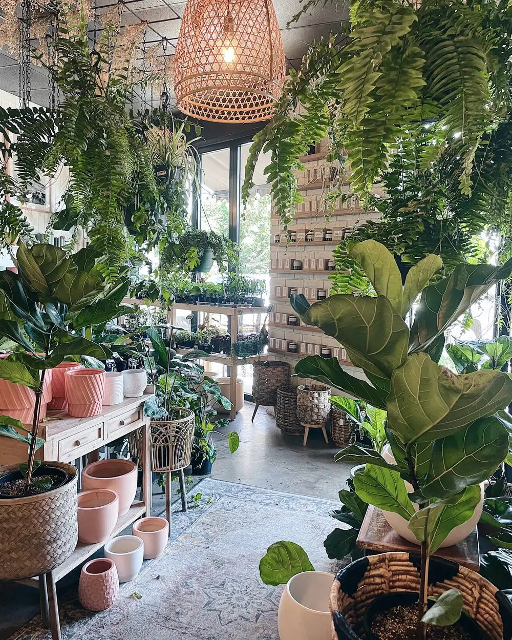 PLANT SHOP